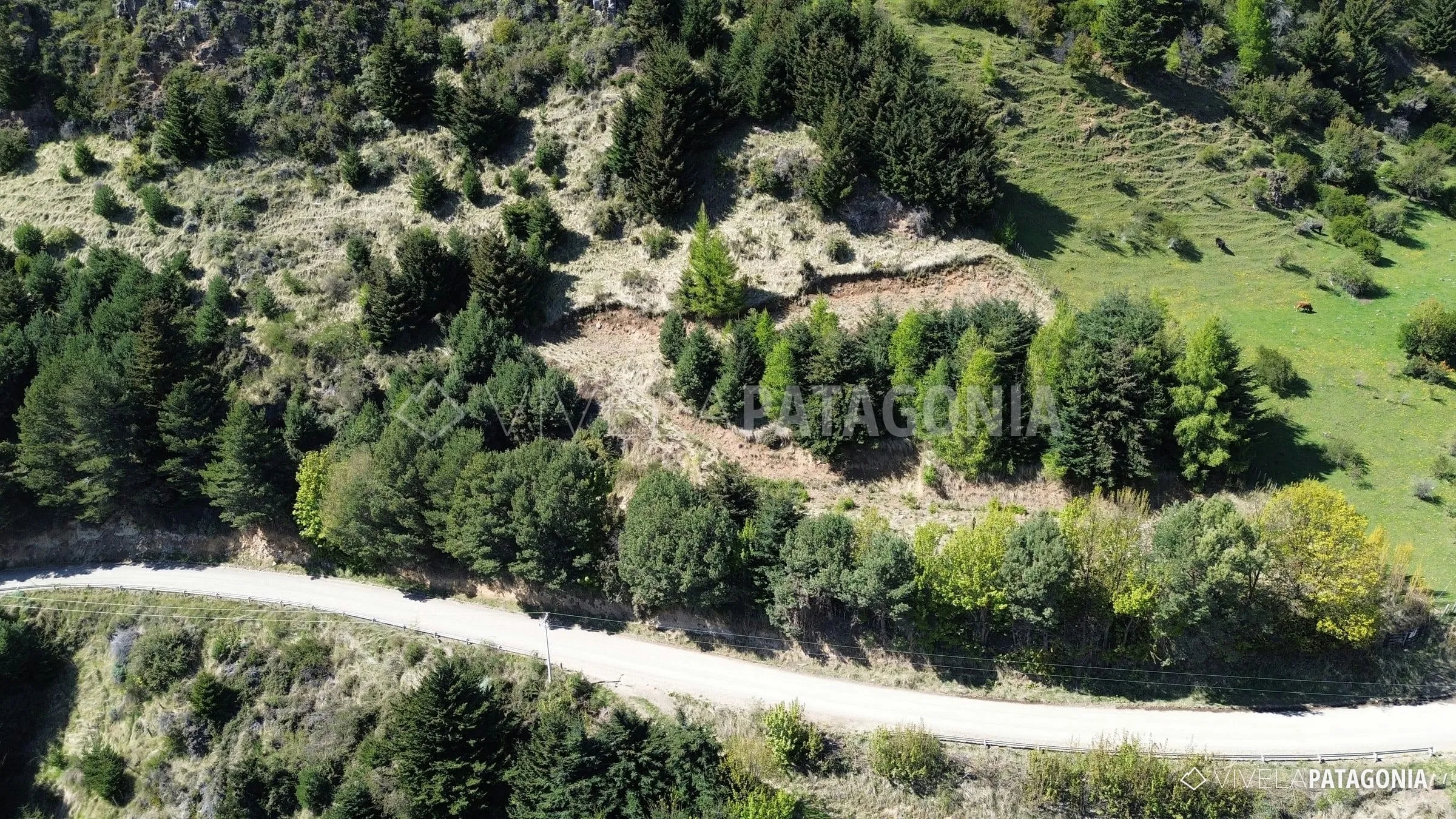Plataformas entre bosque y pradera · Parcela en venta · Lago Elizalde