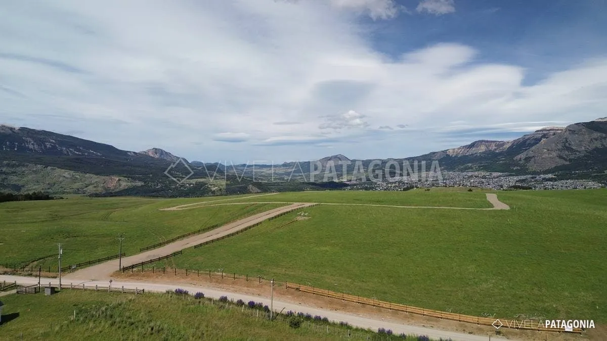 Pradera abierta del predio con el camino de acceso