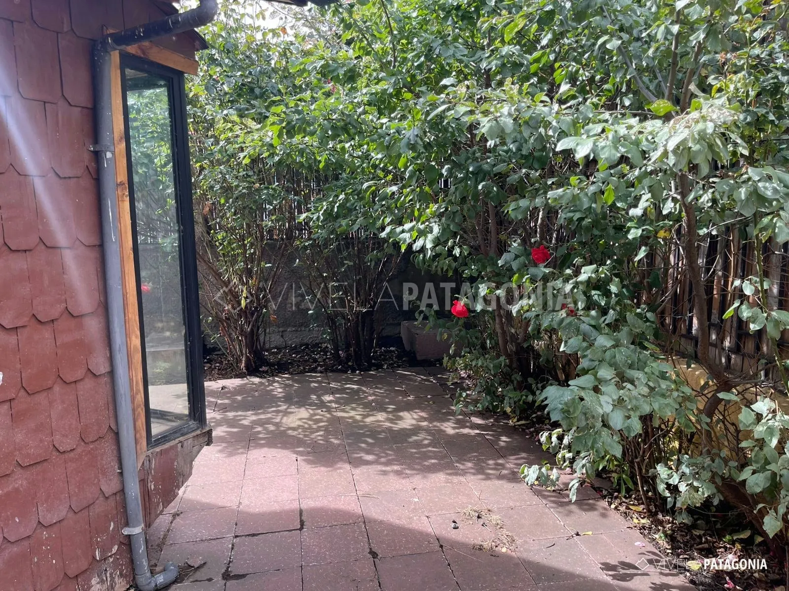 Patio con rosales, un rincón tranquilo para el café · Casa en venta · Coyhaique urbano